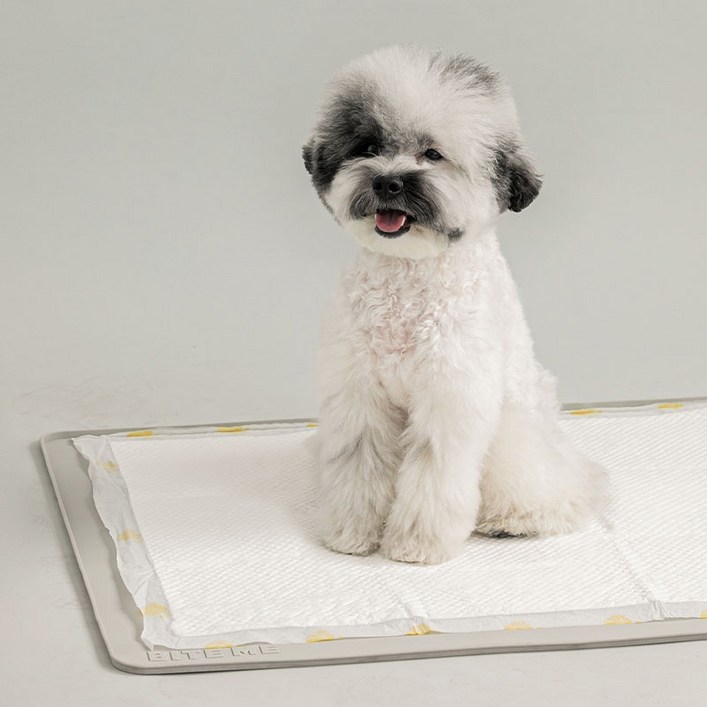 바잇미 강아지 논슬립 실리콘 배변매트 표준형, 그레이, 1개 20230325