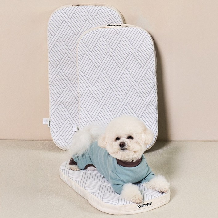 개과천선 듀라론 코일 강아지 쿠션 강아지 방석 애견 침대 유모차 내부쿠션 쿨 방석 쿨 매트, 아이스 화이트, 1개