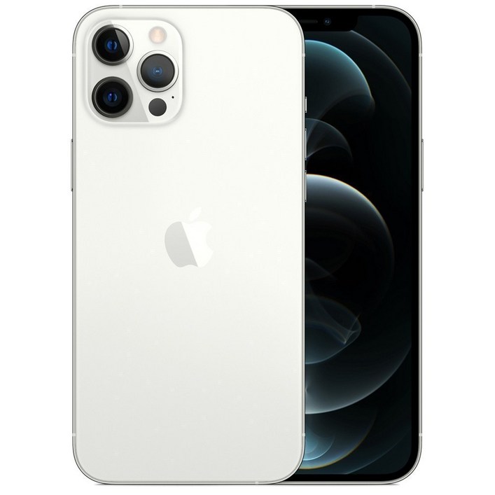 Apple 아이폰 12 Pro Max 자급제