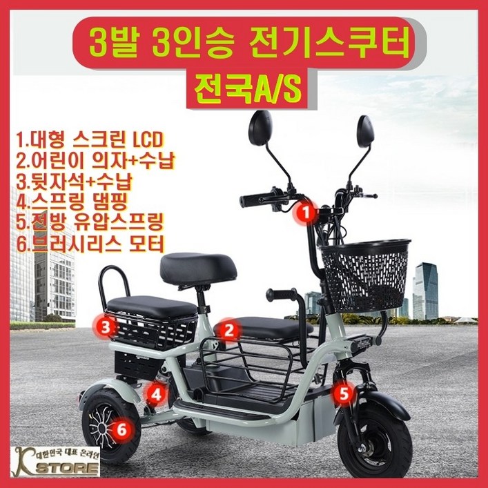 스쿠마켓 800W 3발 3인승 펫바이크 전기스쿠터 전진 후진 소형 경량 강아지 짐칸 배터리 탈부착 접이식 핸들 오토바이 어린이 노인, 옵션5