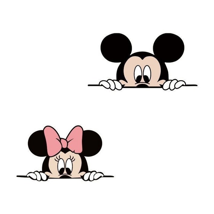 태쓰 자동차 스티커 흠집커버 스크래치 커버 차량 반창고 노트북스티커