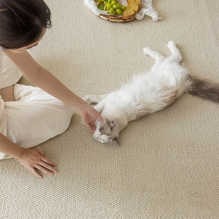 미스터댕댕 스크래쳐 고양이 논슬립 카페트 특대형 화장실 매트