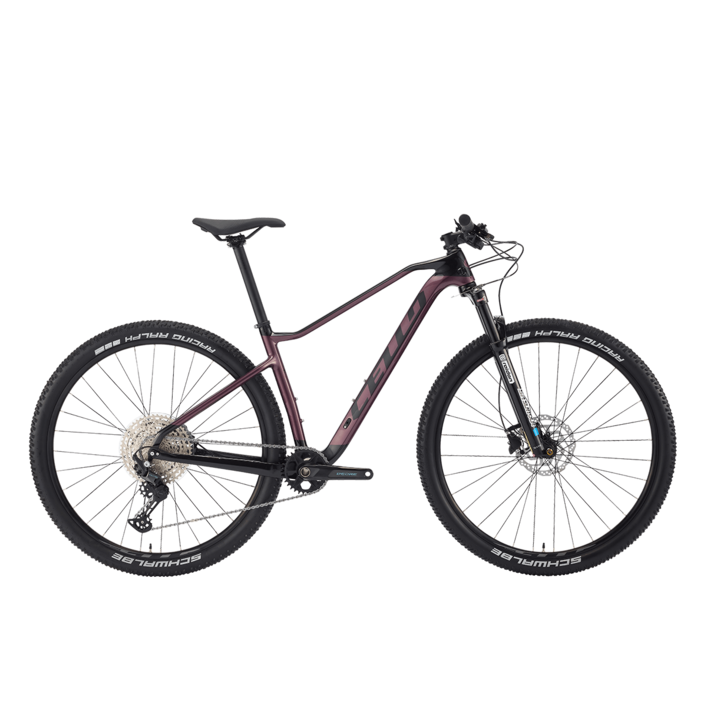 첼로 29 xc pro 10, 블랙/더스트그라운드, 1개