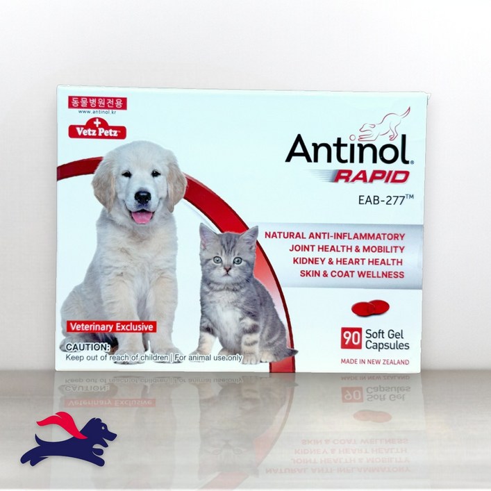 안티놀 래피드 90캡슐 강아지 고양이 관절 슬개골 영양제
