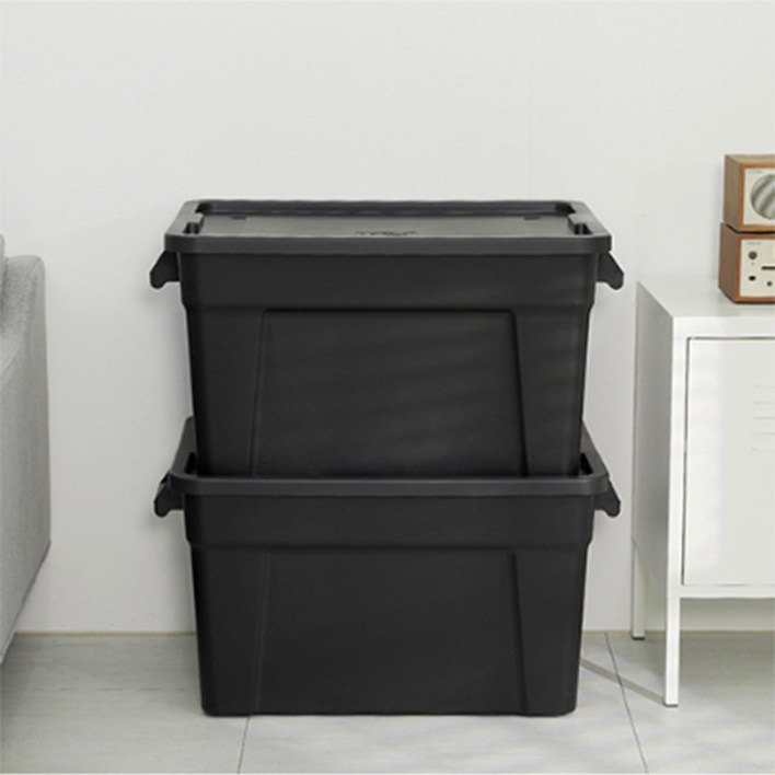 라이피스트 자이언트 리빙박스