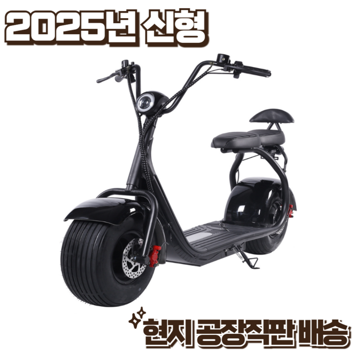 New Wave 할리 전기오토바이 전기스쿠터 클래식 전동 전기바이크 리튬배터리 친환경