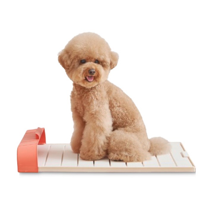 모노모그 스윙배변판 무한연장 대형 강아지 배변판, 1개