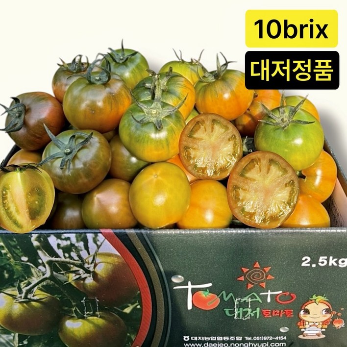 [평점4.9점] 부산 대저 토마토 당일수확