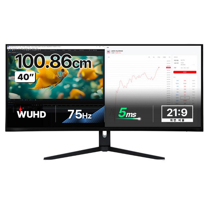 인터픽셀 5K WUHD NANO IPS 75Hz 높이조절 모니터, 100.859cm, IPU4010(일반)