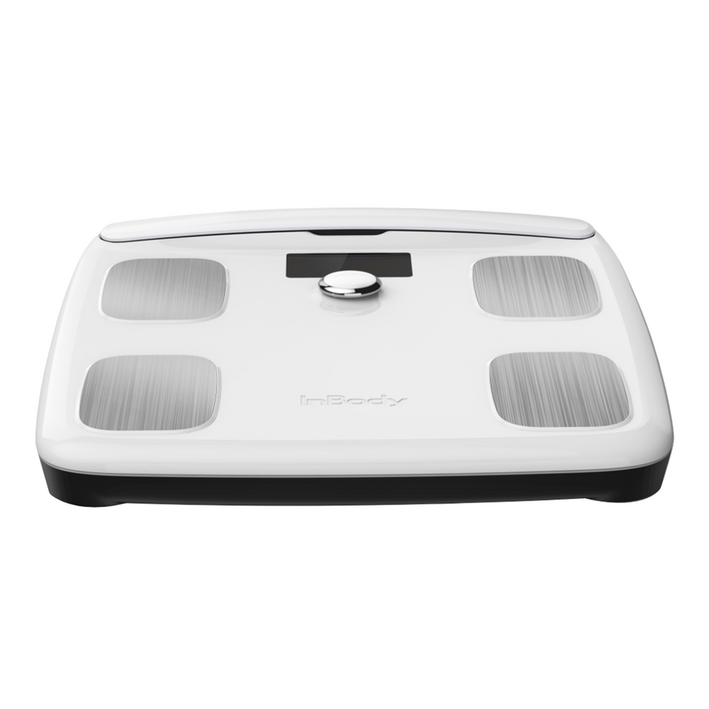 인바디 NEW 가정용 체지방계 InBodyFit, InbodyFit, 화이트, 1개