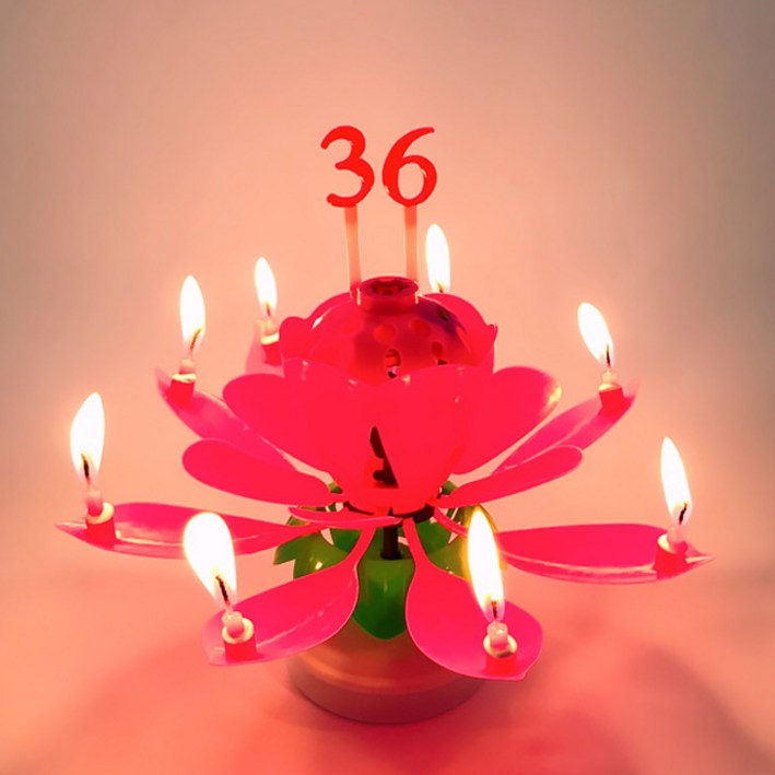 스토리빙 생일 축하 초 연꽃 멜로디 선물 파티 용품 숫자 토퍼 19p 세트, 레드 스토리빙 생일 축하 초 연꽃 멜로디 선물 파티 용품 숫자 토퍼 19p 세트, 레드