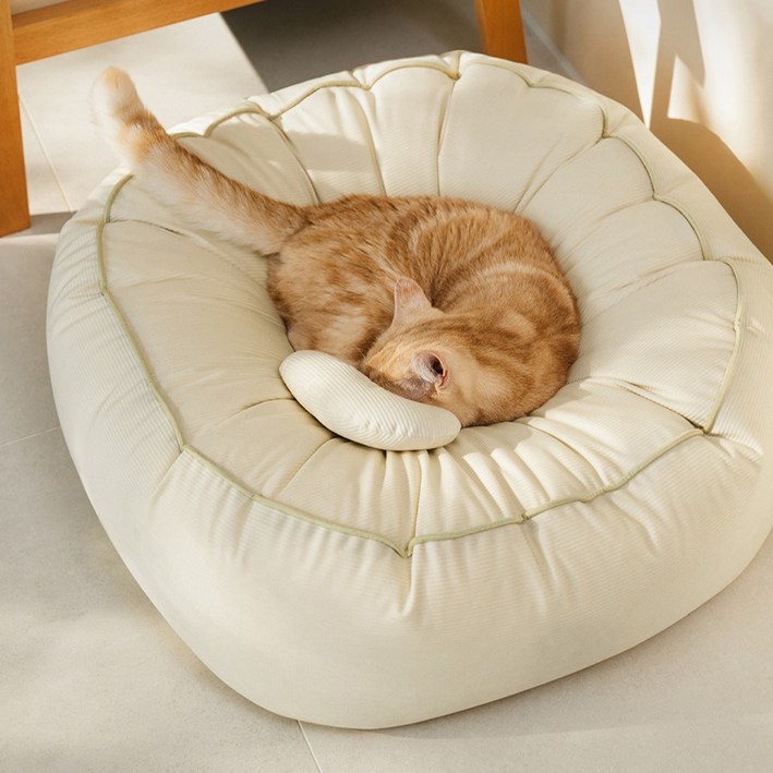 아르르 고양이 꿀잠해먹방석