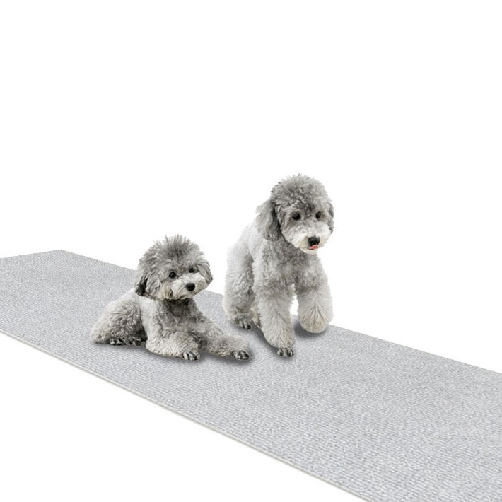 딩동펫 반려동물 미끄럼방지 매트 롤형