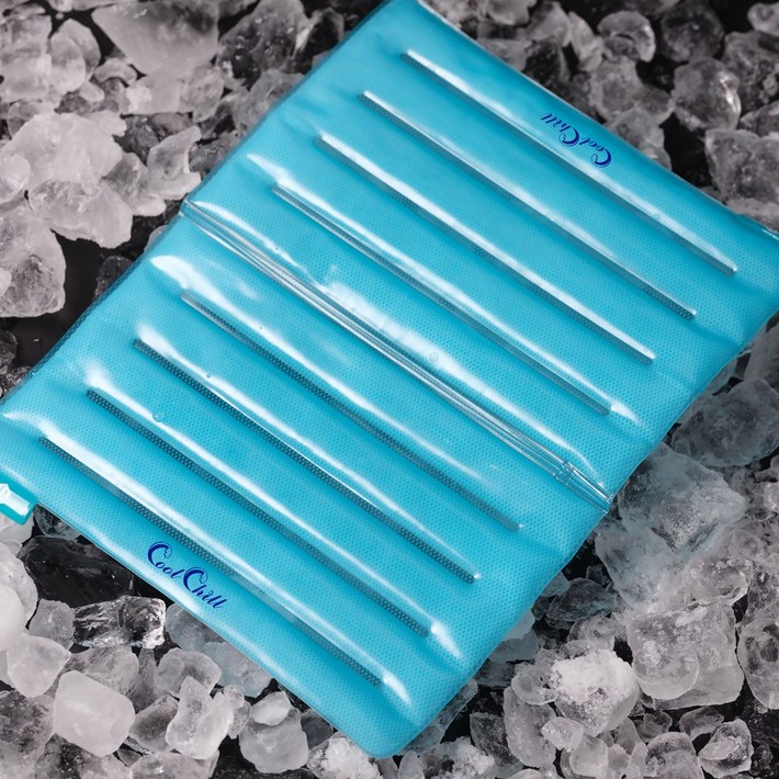 여름 기능성방석 얼음방석 쿨칠 아이스방석, 블루