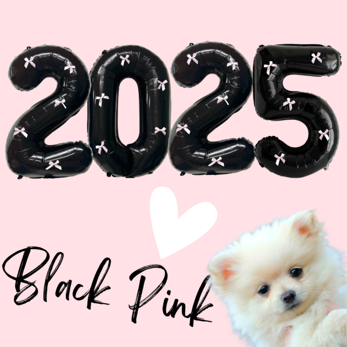 파티룰루 블랙핑크 숫자풍선 리본 대형 생일, 1개, 2025 세트 파티룰루 블랙핑크 숫자풍선 리본 대형 생일, 1개, 2025 세트
