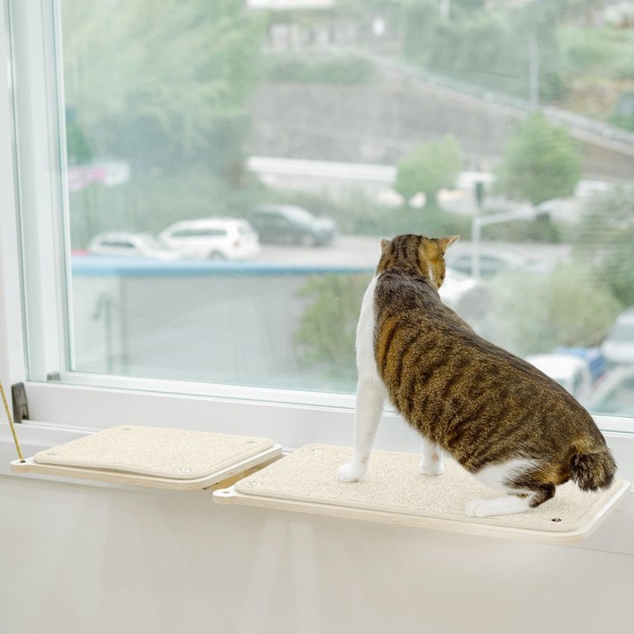 캣돌 고양이 창문 창틀 선반 해먹 캣타워, 대형아이보리, 1개