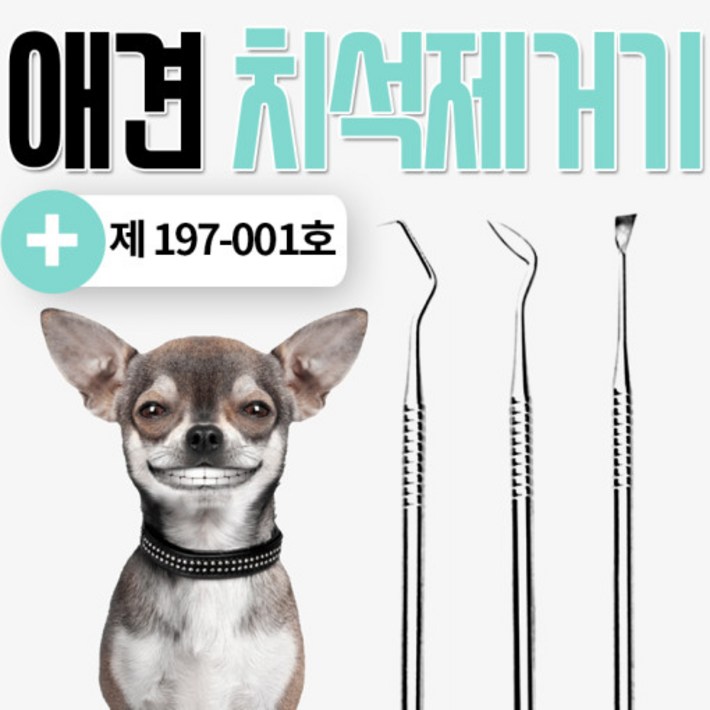 애견셀프 치석제거기스케일링