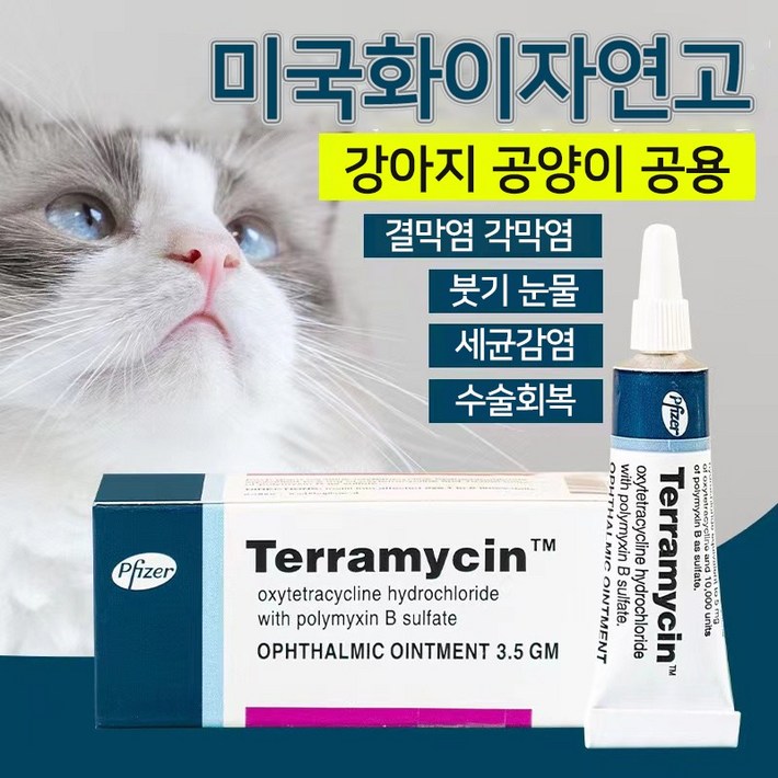 미국제 강아지 고양이 눈증 케어 YG1