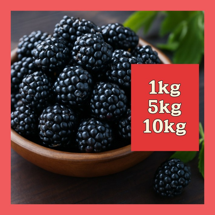 산지직송 고창 슈퍼 복분자 특품 1키로 5키로 10키로 블랙베리