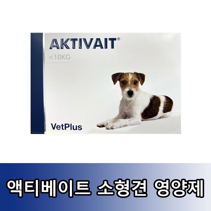 액티베이트 소형견용 60캡슐 - 쇼핑뉴스