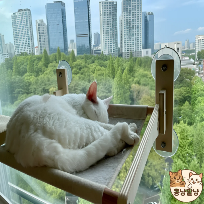 콩냥팥냥  원목 창문해먹 접이식