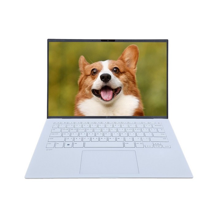 LG전자 그램14인치 인텔 코어 i5 WUXGA IPS LCD 디스클레이 가성비노트북, 그램14인치 13세대 인텔 i5, WIN11 Home, 16GB, 256GB, 화이트