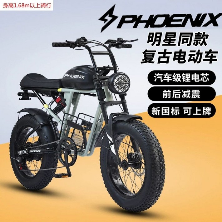 48V10ah최대1000W 전기 전동자전거 자토바이 레트로 팻바이크