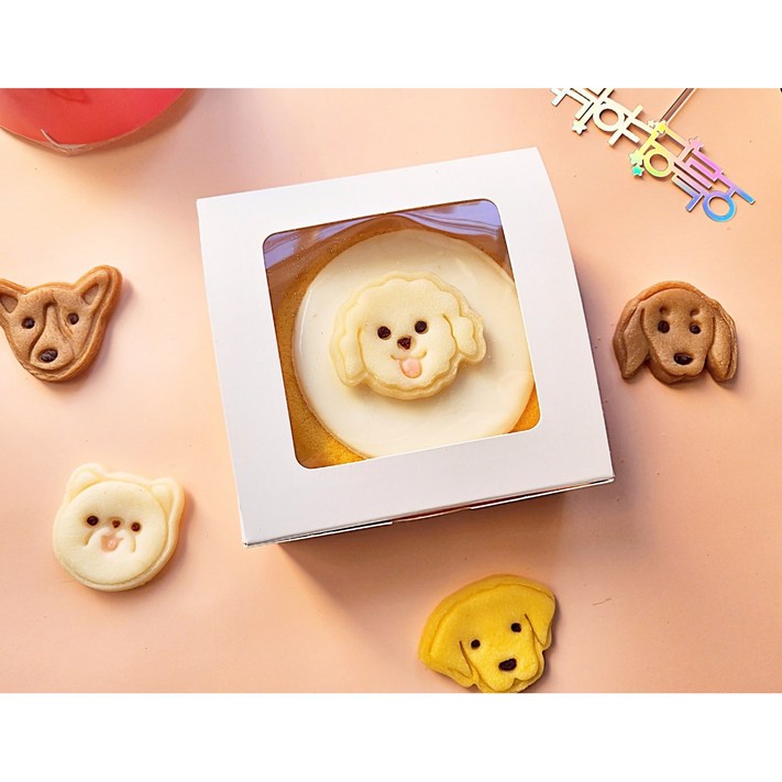 담무 강아지케이크 얼굴케이크 너를 닮은케이크 수제 담무 강아지케이크 얼굴케이크 너를 닮은케이크 수제