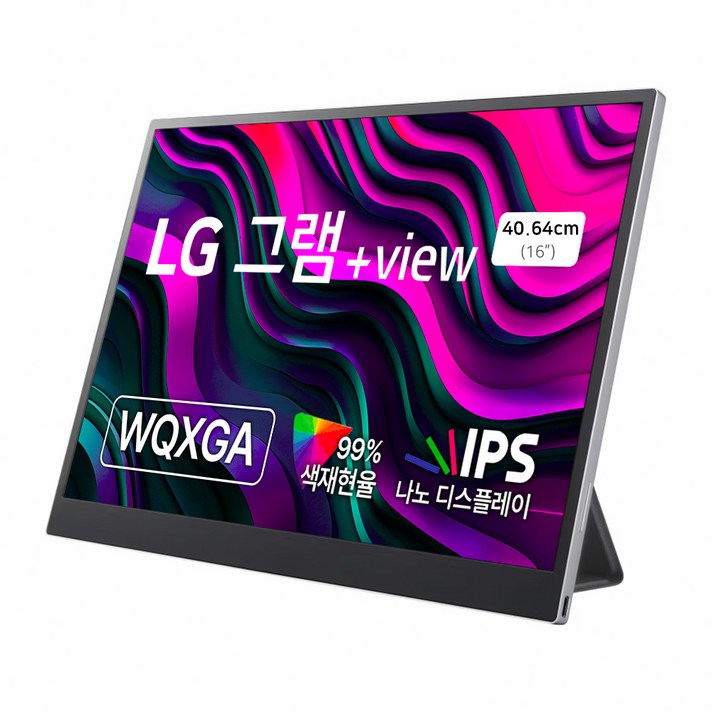 LG전자 WQXGA 그램 View 모니터, 40cm, 16MR70