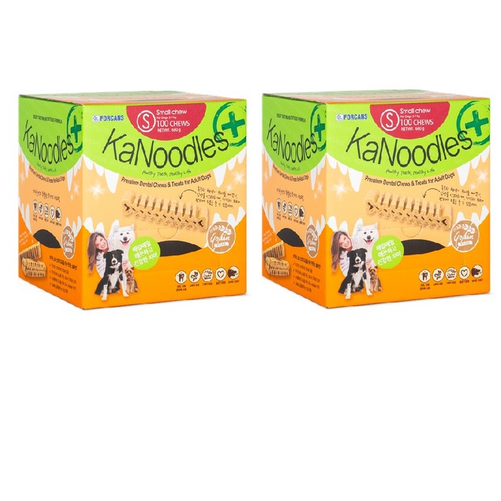 카누들 필로팩 S100 덴탈껌