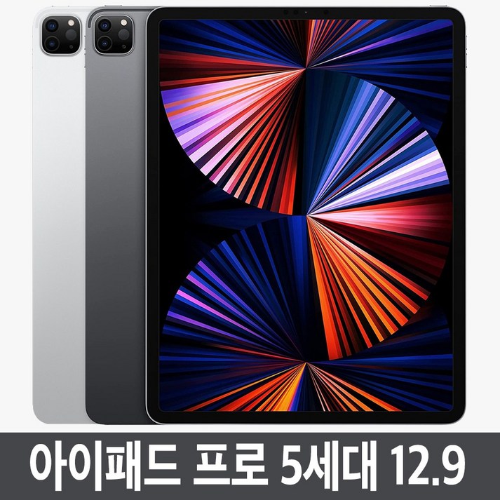Apple 아이패드 프로 12.9 5세대 M1칩