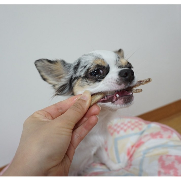 웰리아펫 뼈닭발껌 국내산 강아지 수제 간식 무방부제 다이어트 뼈간식