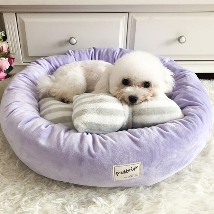 미스터킴 극세사 강아지 대형 방석 고양이 쿠션 애견 소파 양면사용, 1개, 원형퍼플