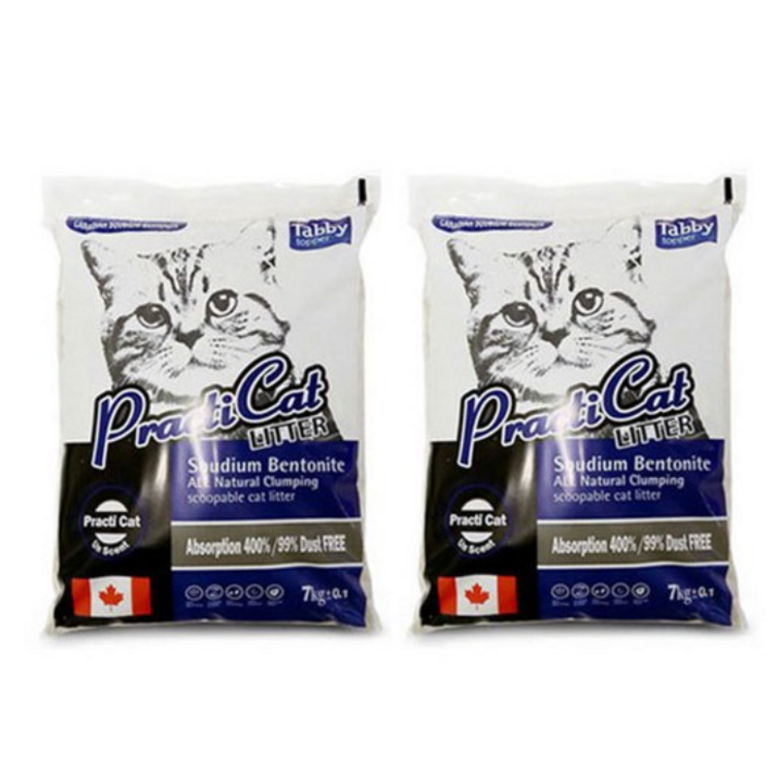 테비 프락티캣모래