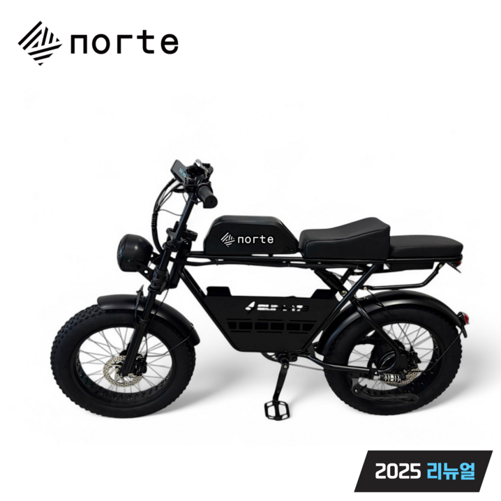노르테 전기 자전거 자토바이 전동 스쿠터 팻바이크 MTB 배달용 출퇴근용, S1 럭셔리, 스틸