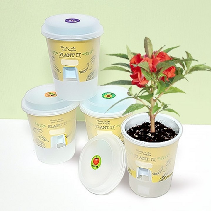 [두두엠] 저면관수 올인원 화분 키트(5종)