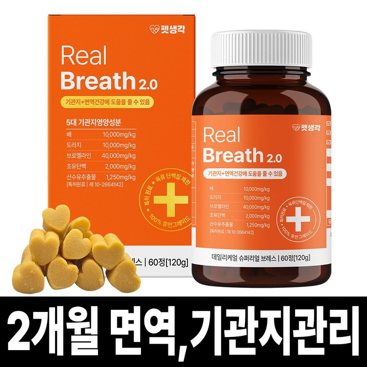 펫생각 리얼 브레스 반려견 강아지 기관지 영양제 협착증 기침 면역력 호흡기 켁켁거림 거위소리 120g, 120g, 1개, 호흡기기관지, 60정