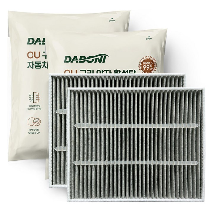 다보니 PM 0.3 카니발 4세대 KA4 구리 항균 활성탄 에어컨 필터 세트 전면후면