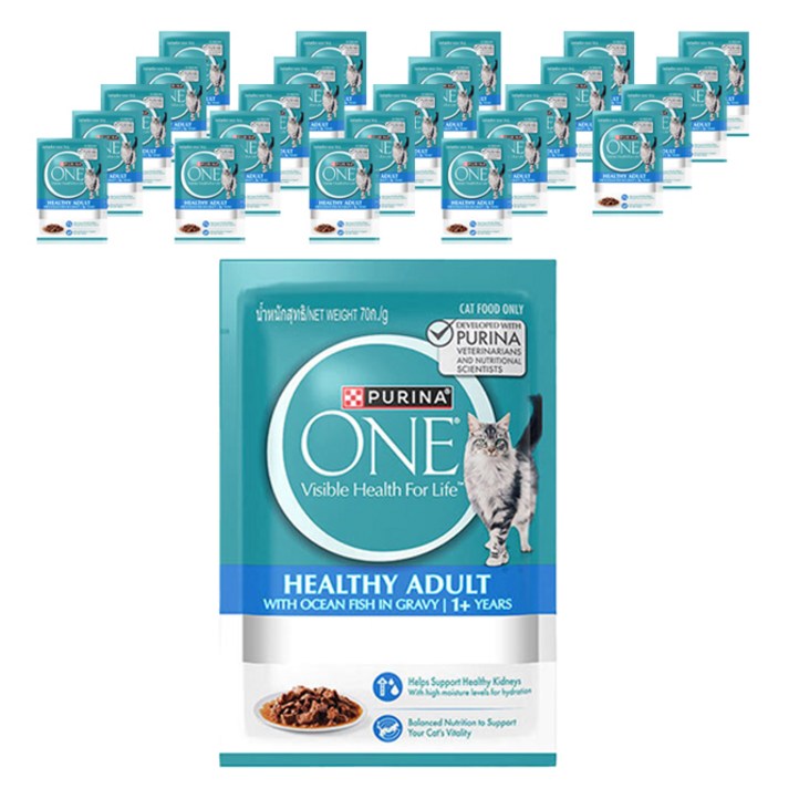 퓨리나원 1세 이상 캣 습식 주식파우치, 연어정어리, 70g, 24개