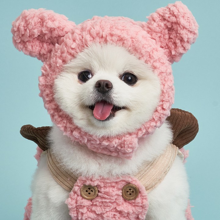 도그아이 강아지 털 곰돌이 모자 도그아이 강아지 털 곰돌이 모자