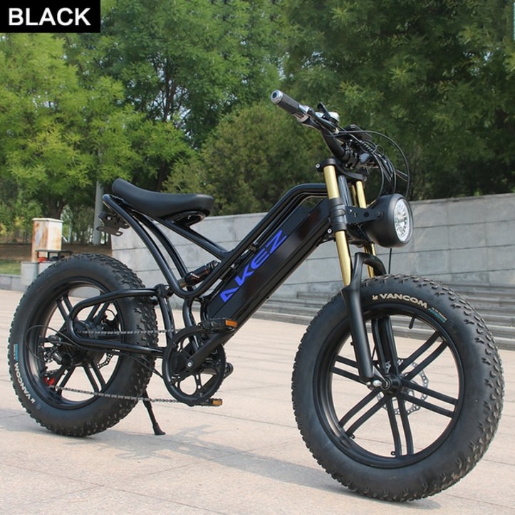 전기자전거 전기자전거렌탈 전기 자전거 레트로 EBIKE 20*4.0 인치 750W 48V 배터리, 크로스 컨트리 오토바