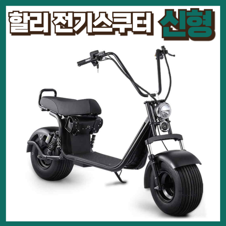한울바람 할리 전기오토바이 스쿠터 바이크 취미 라이딩 충전 할리오토바이 고급 전동 간지