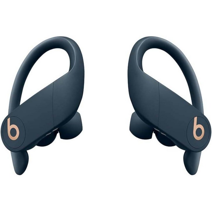 Beats by Dr. Dre Powerbeats Pro Wireless 이어버드