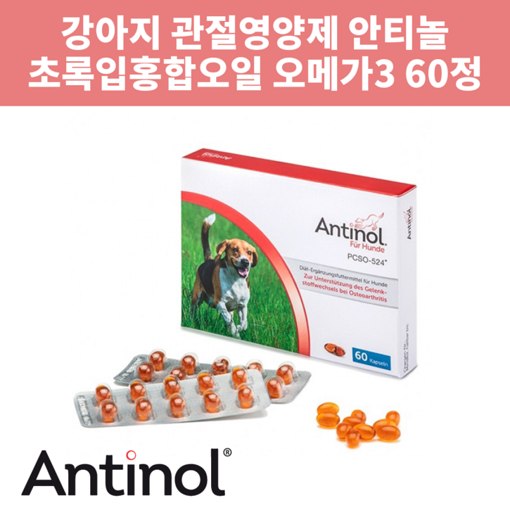 안티놀 래피드 강아지용 관절영양제(60정) 초록입홍합 크릴오일 강아지관절약