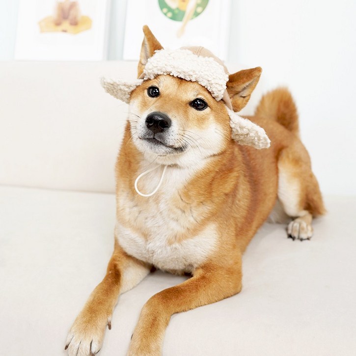 개과천선 윈터 군밤 강아지 모자 양면 따뜻한 뽀글이 귀여운 양털모자 귀도리 겨울 털모자