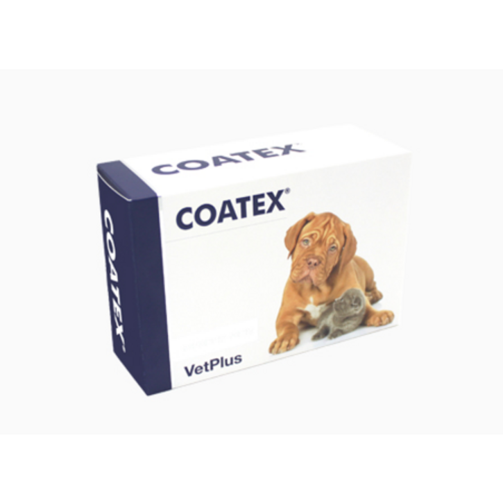 벳플러스 코텍스 블리스터 강아지 고양이 독 캣 피부 피모 영양제 60캡슐