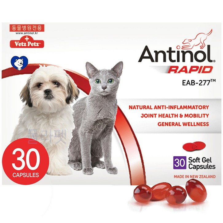 안티놀 래피드 30정 (강아지,고양이 관절영양제)