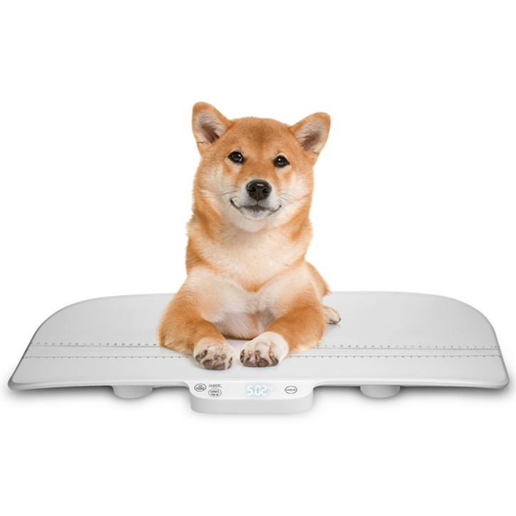 휴비딕 신생아 유아 몸무게 디지털 아기 체중계 HUS317B