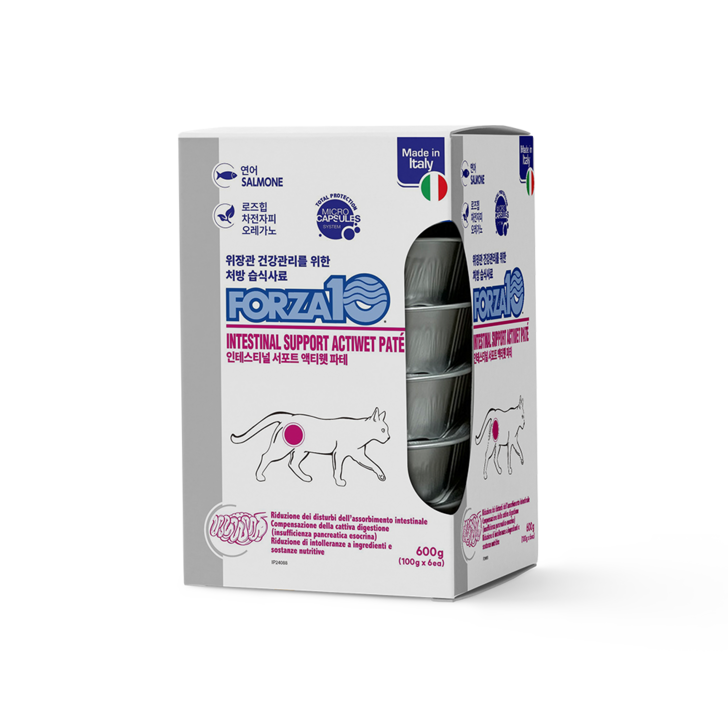 포르자10 액티웻 캣 인테스티널, 6입, 10개, 600g, 연어