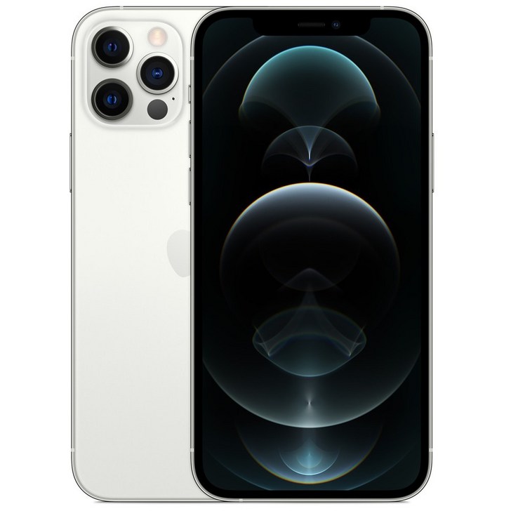 Apple 아이폰 12 Pro Max 자급제